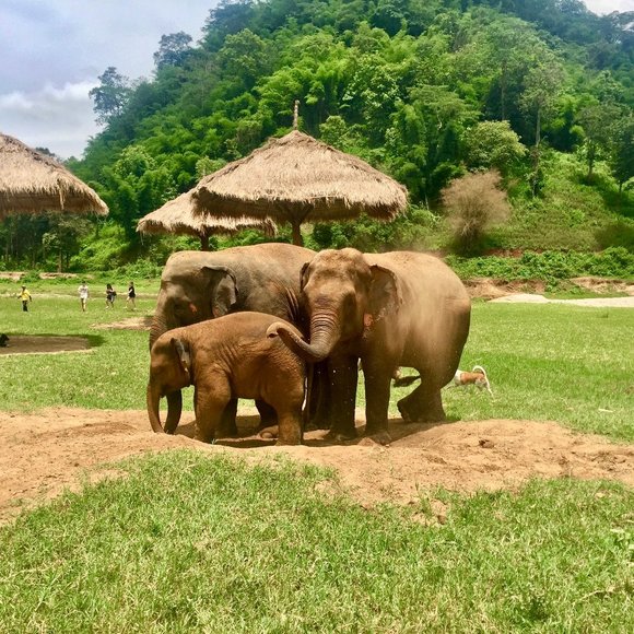 Meet your Posher, Danielle - Picture 1 of 1